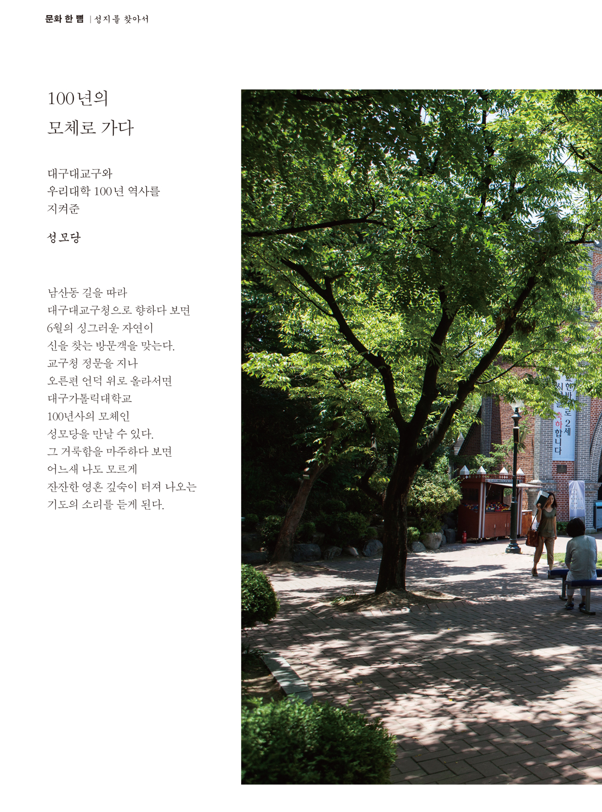 페이지