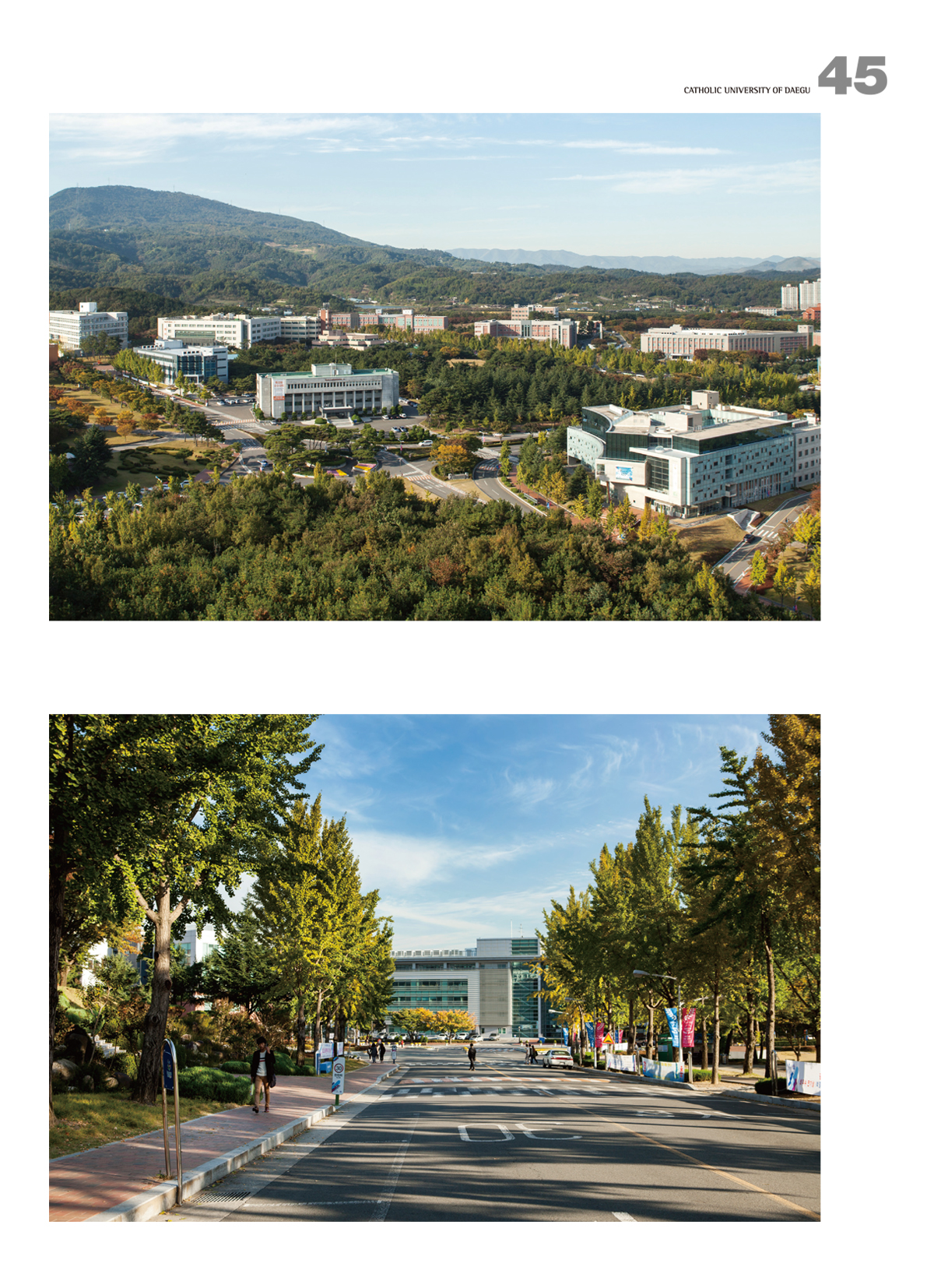 페이지
