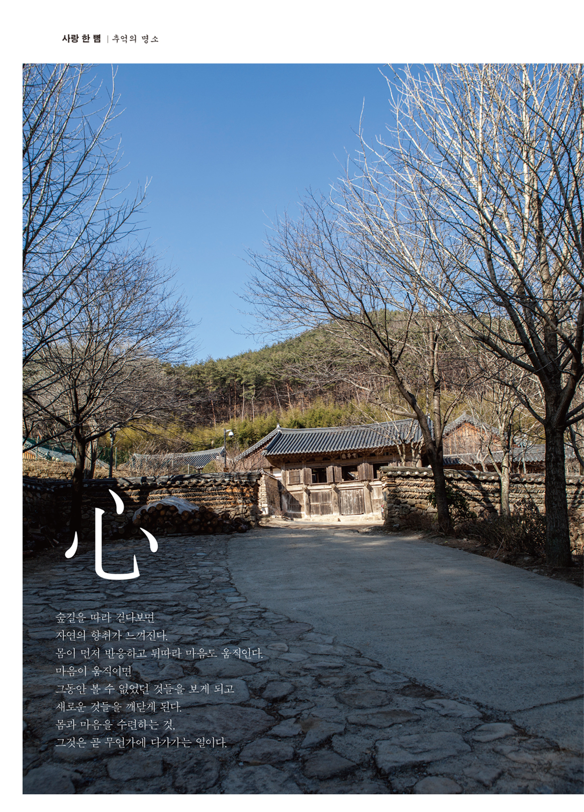페이지