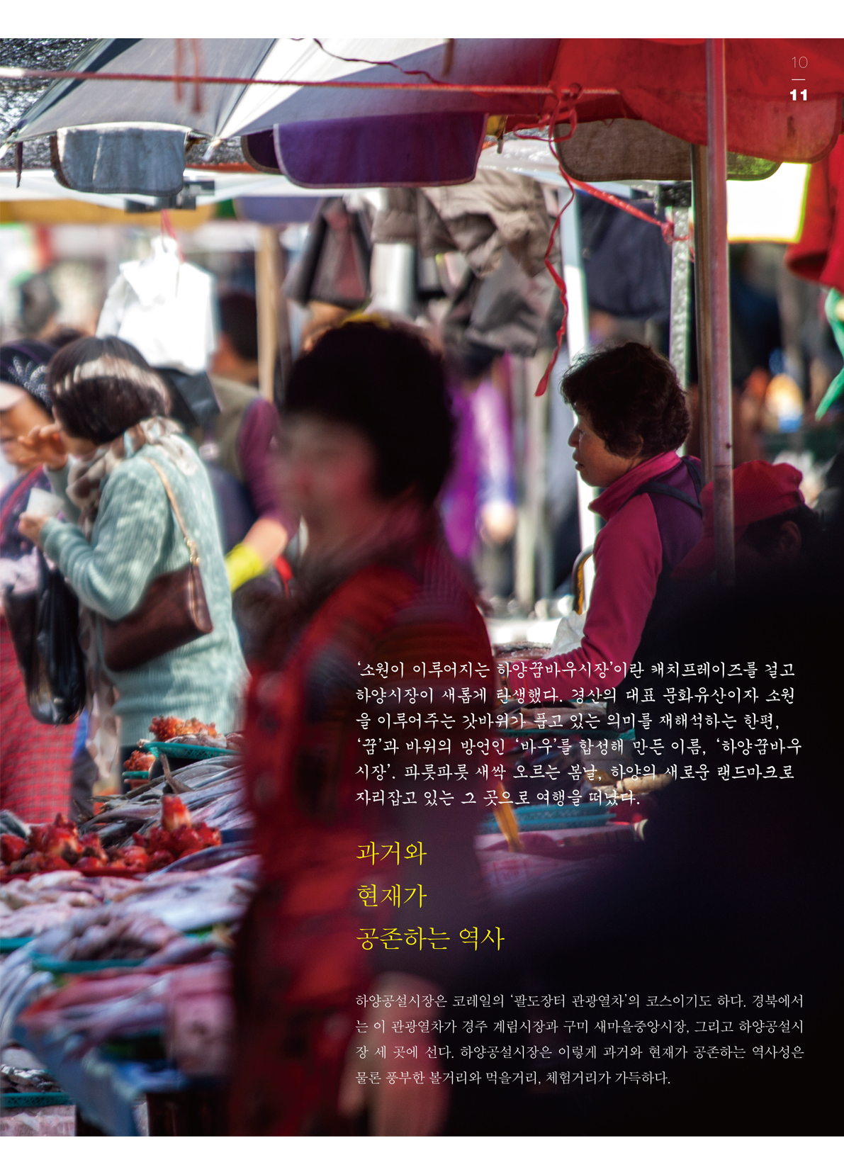 페이지