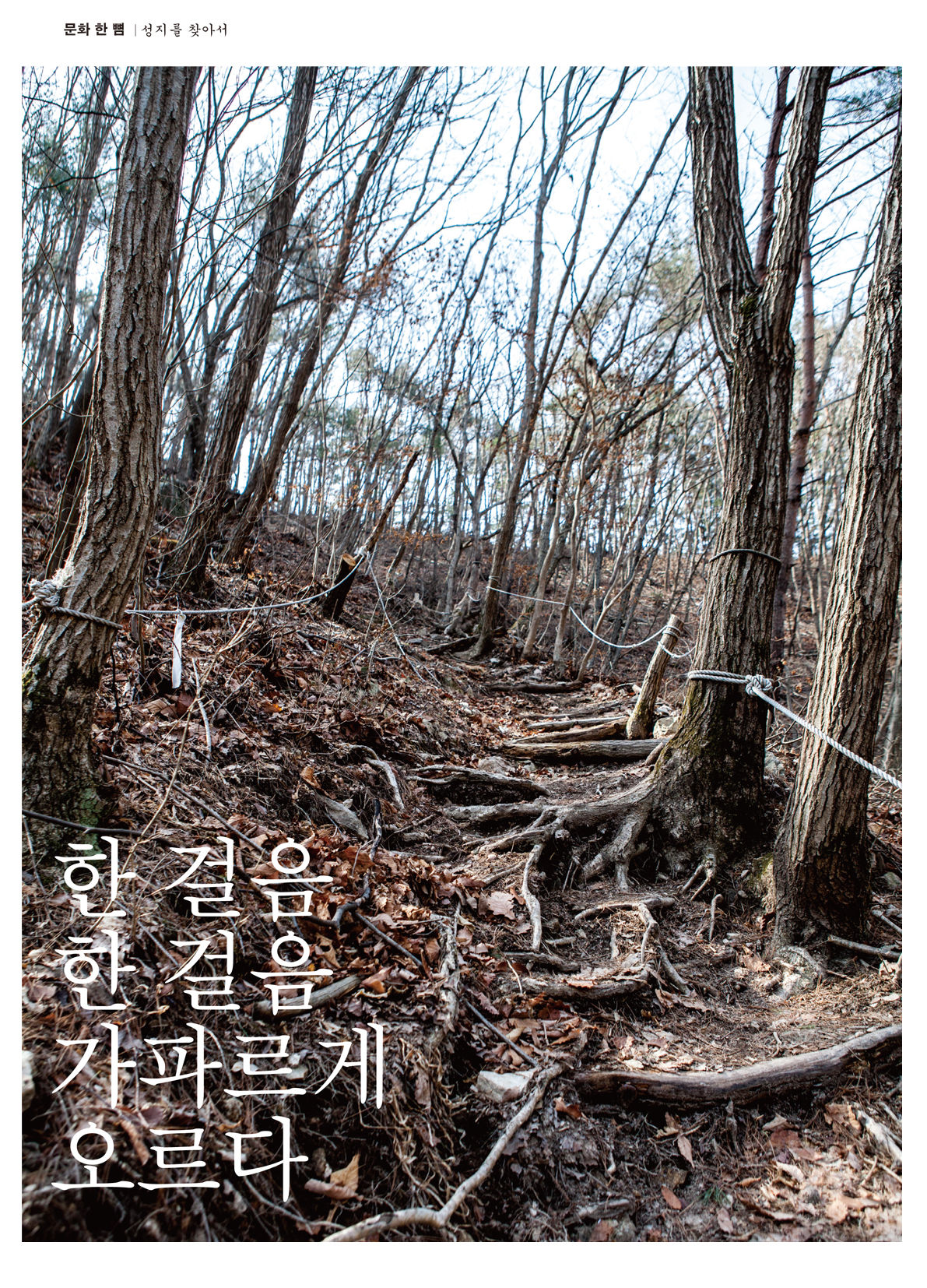 페이지