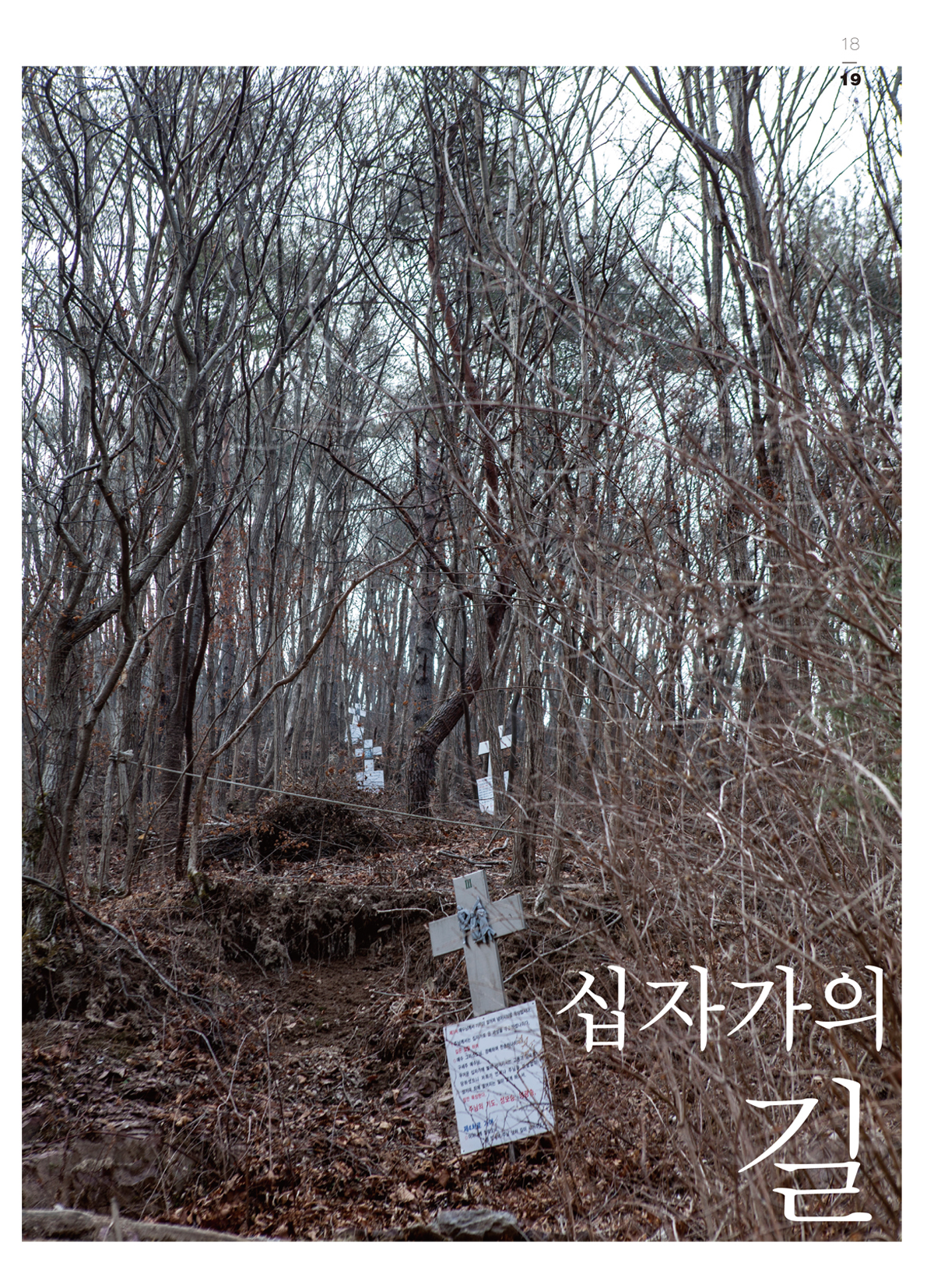 페이지
